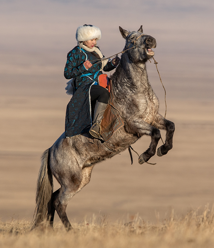 mongolian horse culture